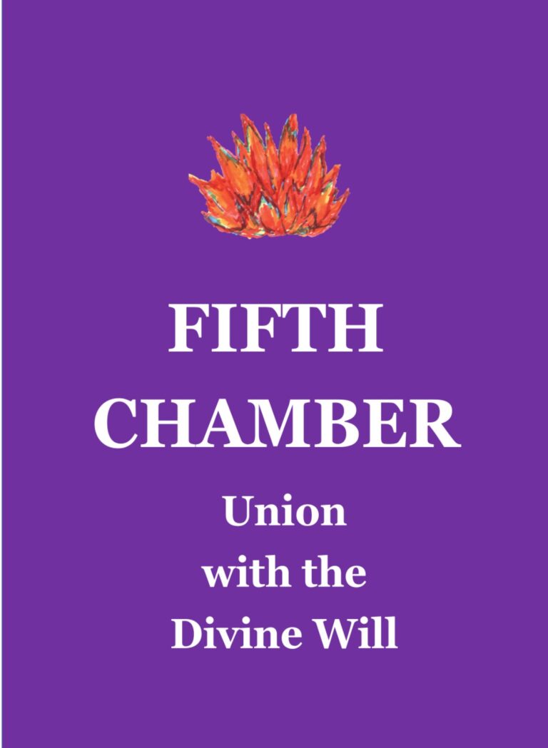 Fifth Chamber